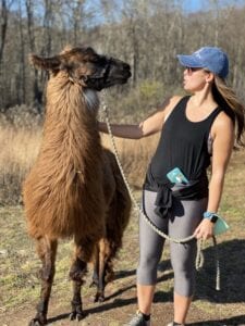 A woman holding the reins of a llama.
